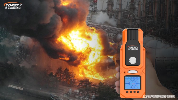 1736839849404658.jpg 14.CD4防爆無(wú)線復(fù)合氣體檢測(cè)儀第五代.jpg